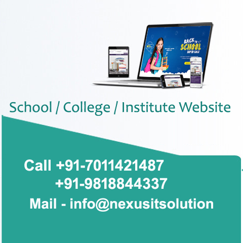 School College Website Designing